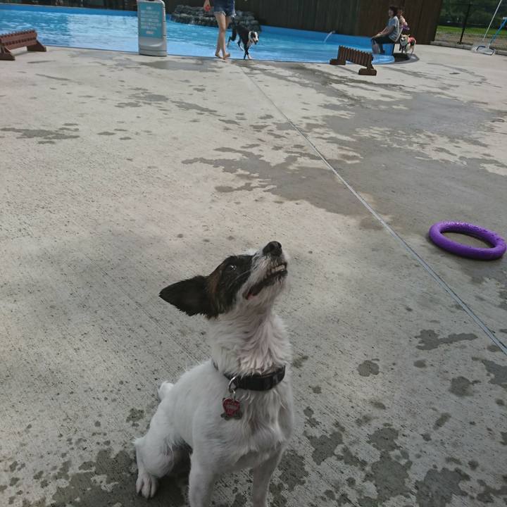 B11050a9 6996 4db4 9298 8d7f397cc35f