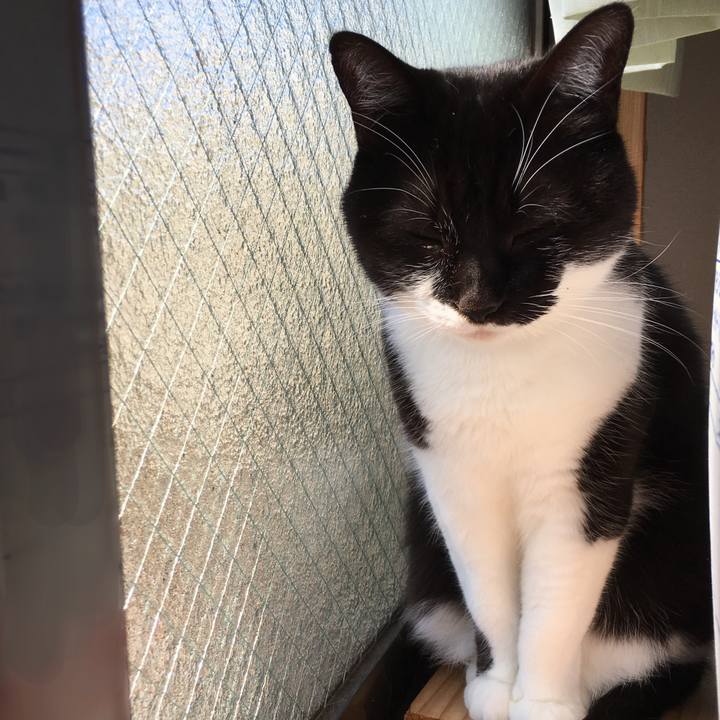 B11110d0 cd19 4dfd a90b 6606fa670c30