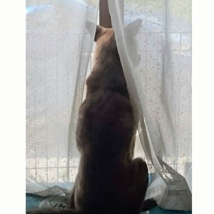 B1117536 c344 429b 89ae fec5eef96043