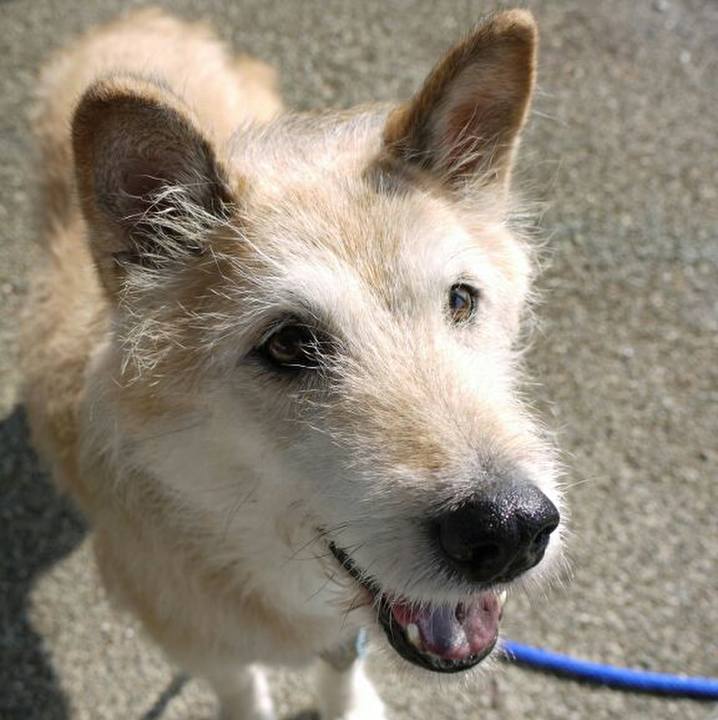 B111b9cd 8150 45e9 9fd4 db97371f5a24