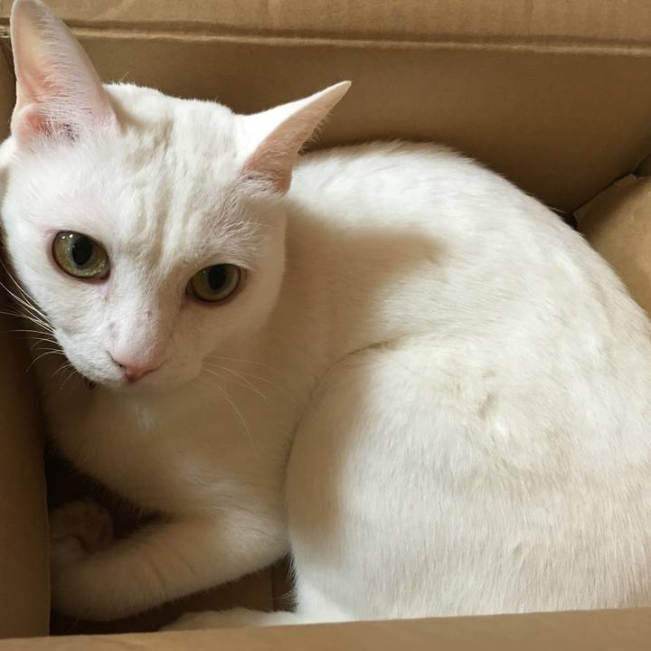 B111c9c5 1bea 4430 9ca5 87663b598e2c