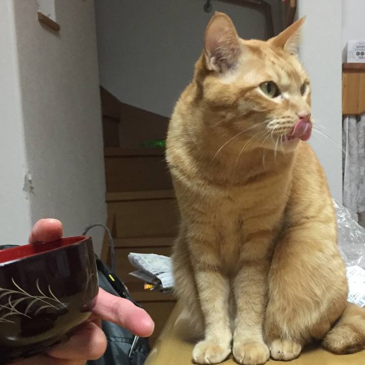 B112071f cd3f 4264 89f3 5f19cf80ba9d