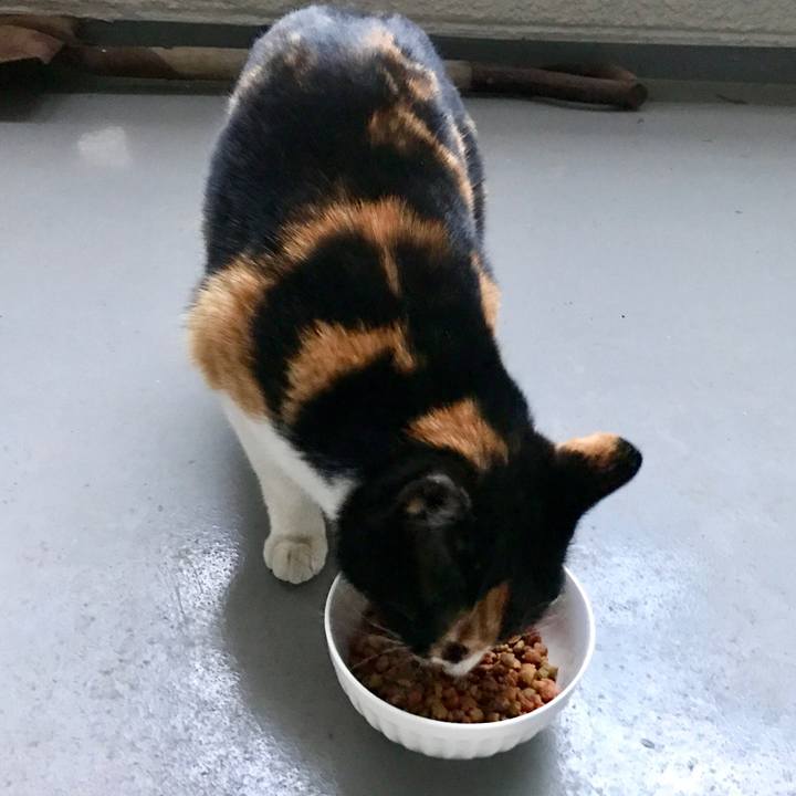 B112aca9 6e46 4f97 be47 181b66a34c1a