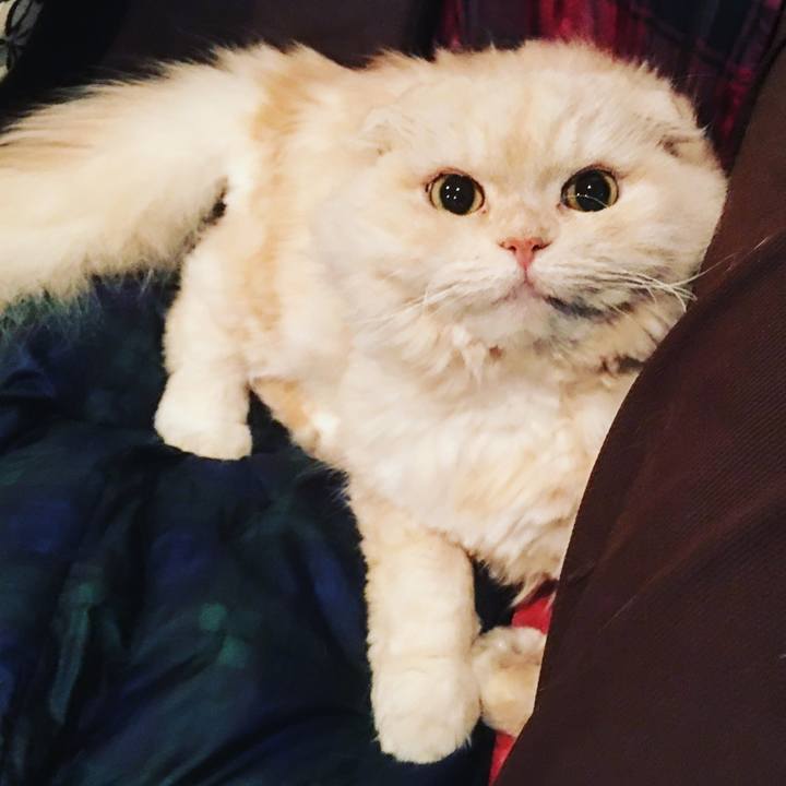 B113507d b8e5 4b85 b5b5 b210f8286661