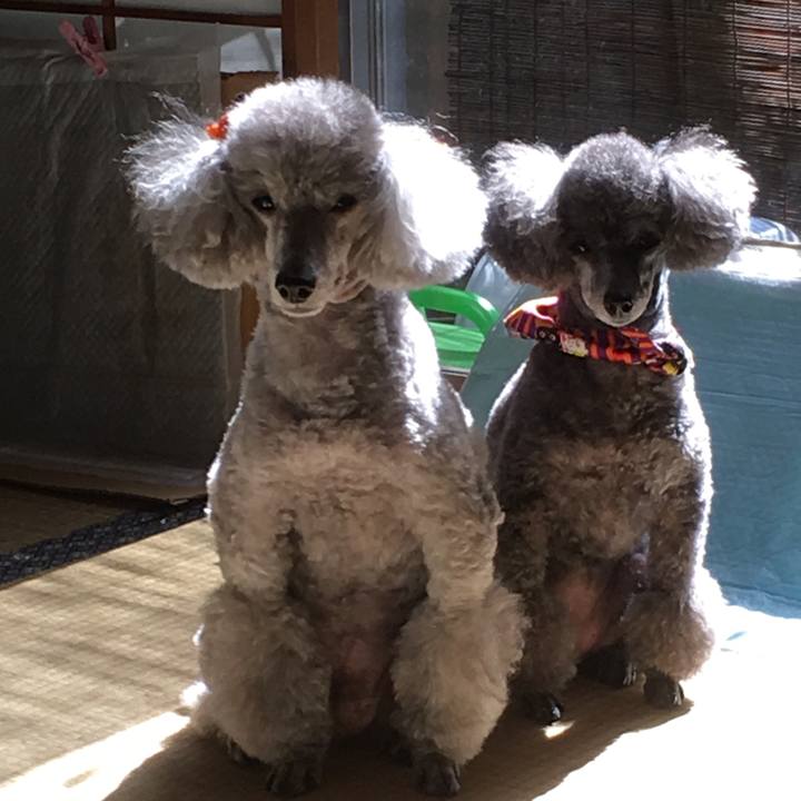 B1147129 5d58 499e a2f7 78dcb59291e7