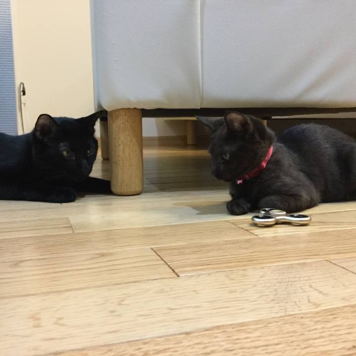 B1147bb3 aca4 4b55 b9ec 2747ac31d9d6