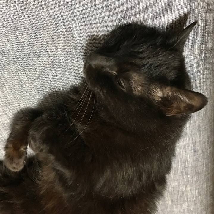 B114f08b d919 477e b648 986131511b5f