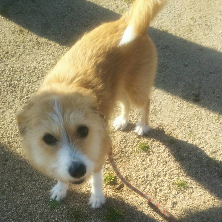 B115258c a46c 4b28 a6c0 2671f7f20dd7