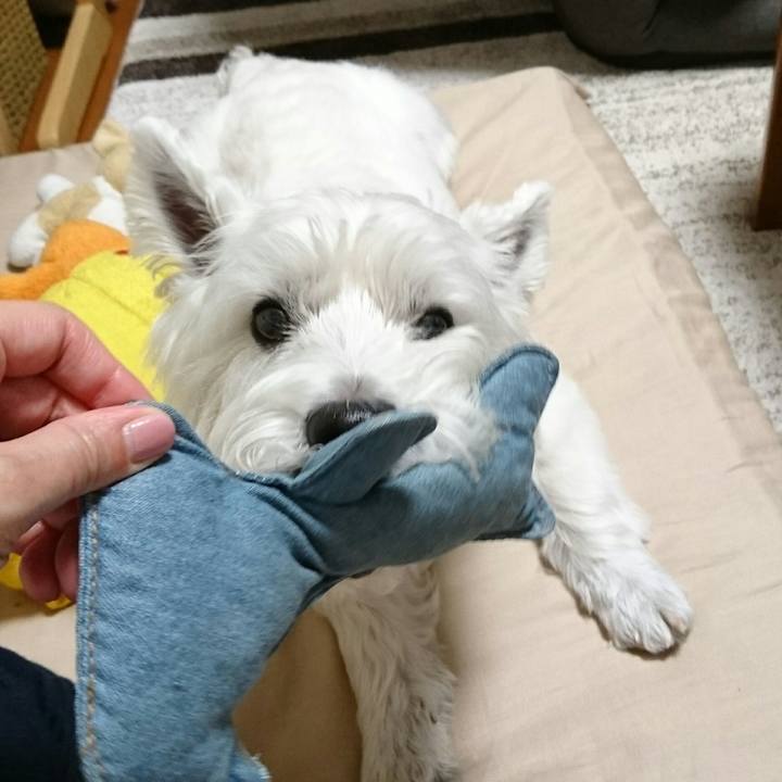 B115375e b23c 4abe 8f95 af4463a3162a