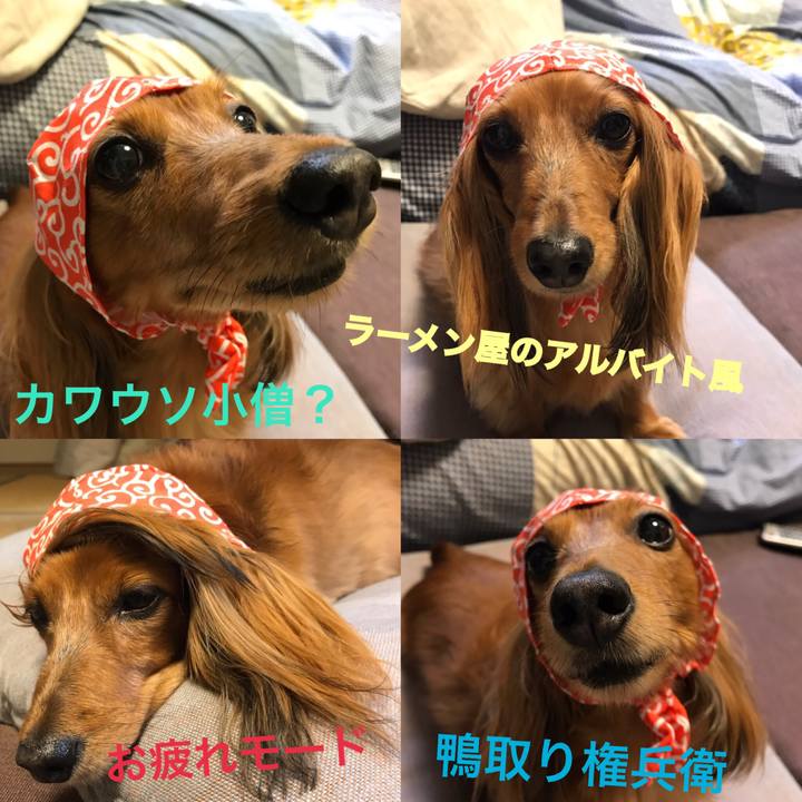 B11542d0 d782 4f7e 8026 37729f4c2afe