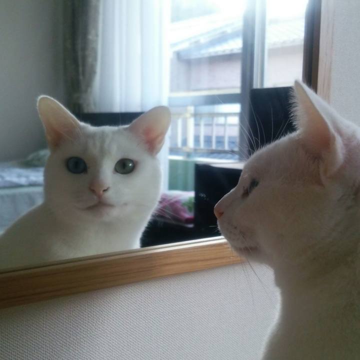 B115431c d1c9 4f64 8a84 415a605e0202