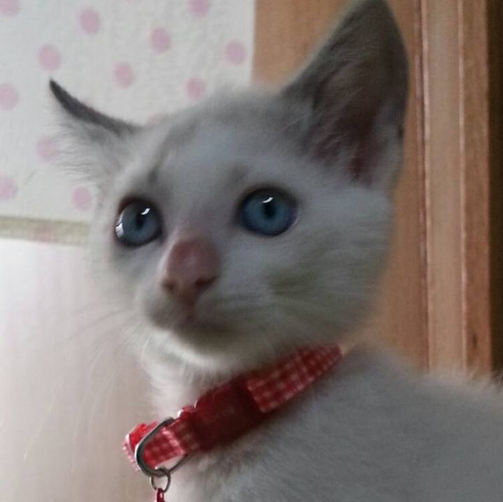 B115835a 4947 4d26 a12c 6b6bf67fcf1b