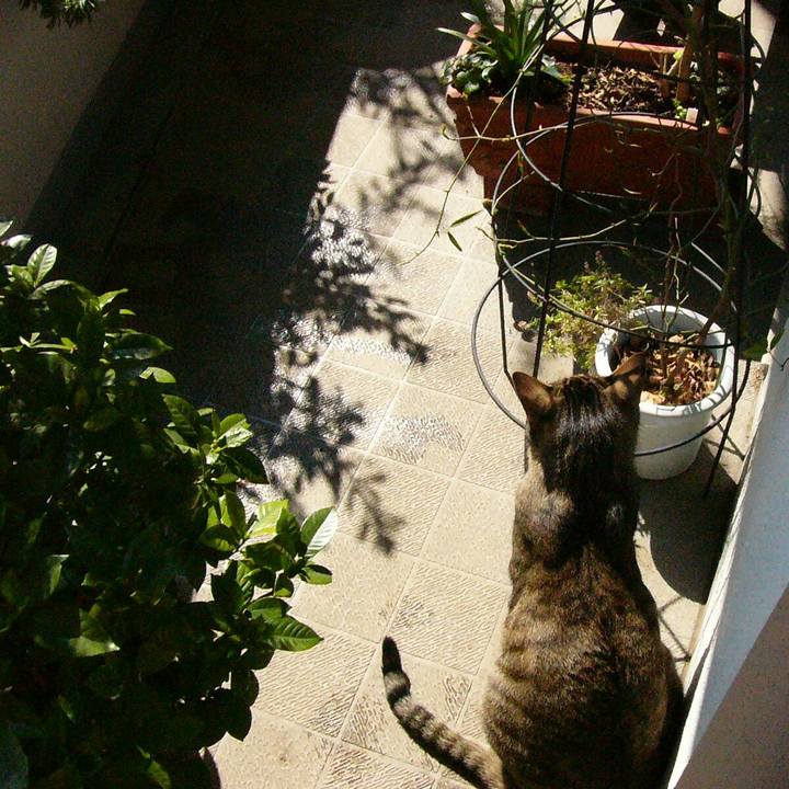 B115e1a7 7e36 441a b3dc 42582a5cf90e