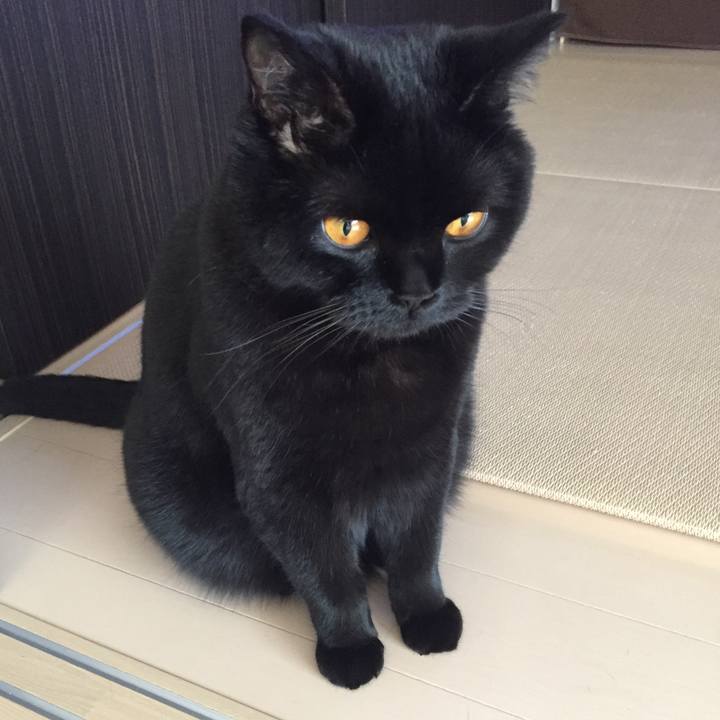 B1166193 bc4e 43e8 b2c6 ce04f0b25286