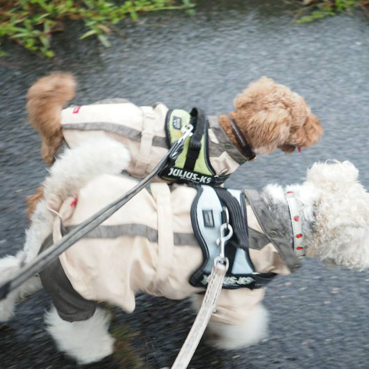 B116c65c 320a 45c8 97e8 dcea91156b03