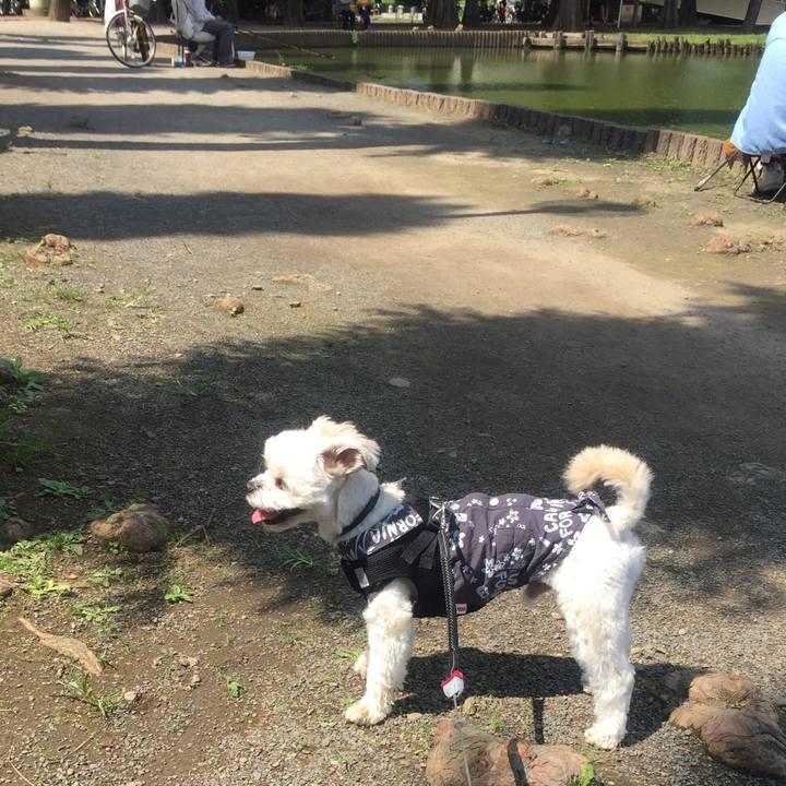 B1172eff 2629 44a2 8a66 dcc252433770