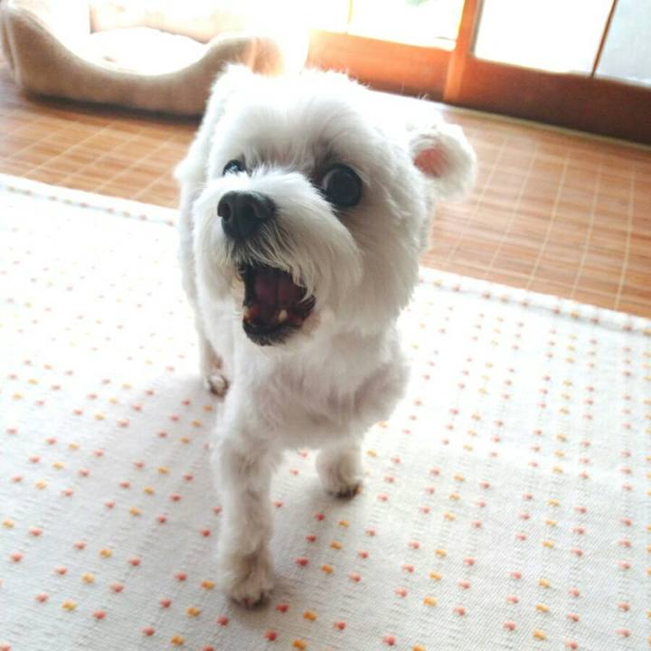 B1173ebc 1a8a 4a74 89bf d47a35f0c3a2