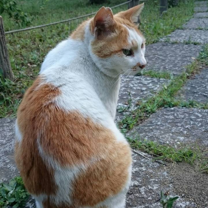 B117d85e d5c5 4275 a6c1 040a43353c4b