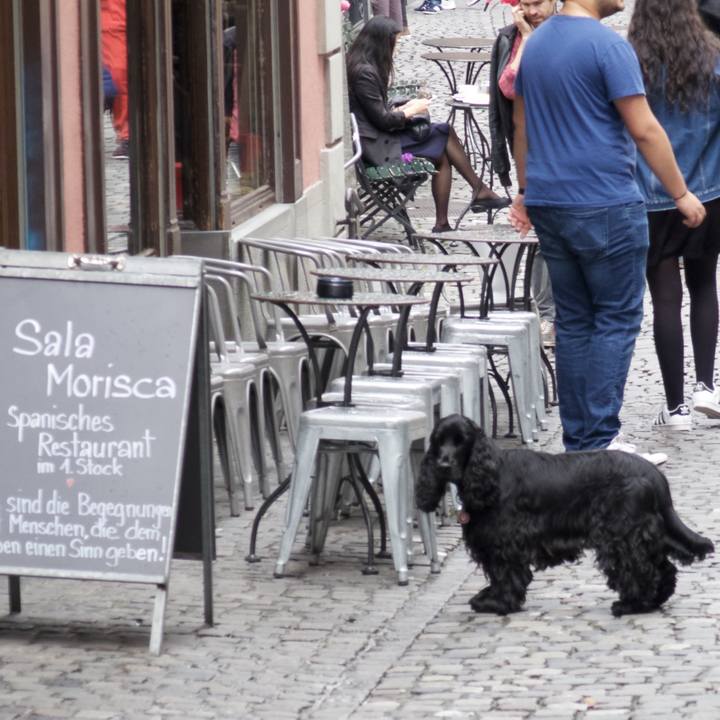 B1186cc2 e6e7 4564 a574 7f8388c2ed7c