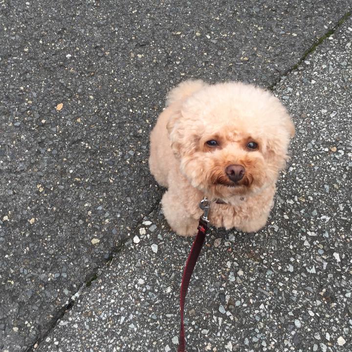 B1186df0 8550 4eaf 98ff acc8dff5643d