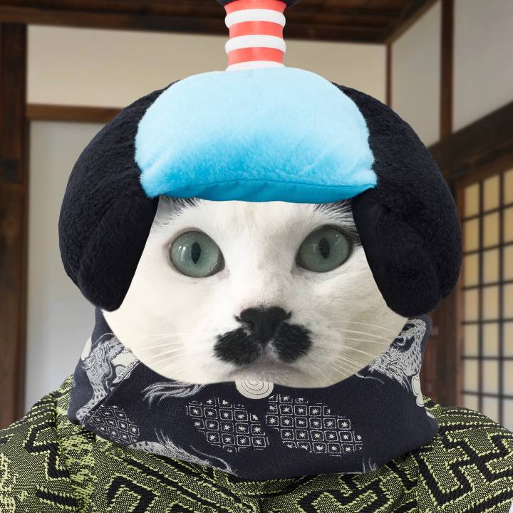 B11881ca 4278 4302 adc1 c9cb9c51baee