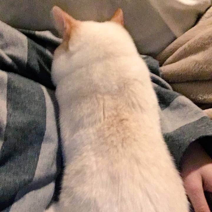 B1197fcc 8dd0 4c07 91fc 3026b23474da