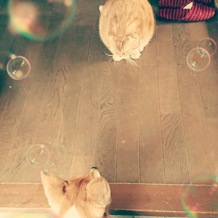 B1199720 3047 4a0c a6b7 71cd312d662f