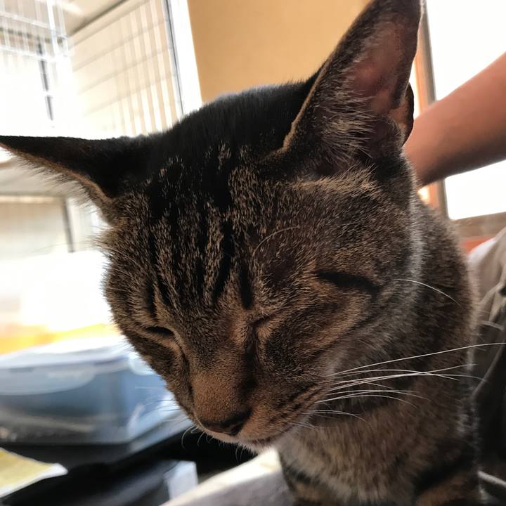 B11a6440 d933 49ed a98c ed432d637f63