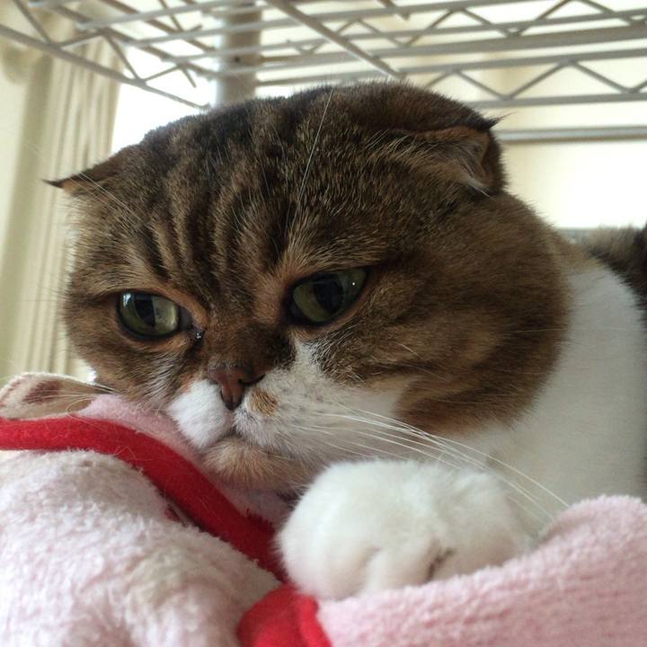 B11b864e f726 4196 bbef 4676d0253e17