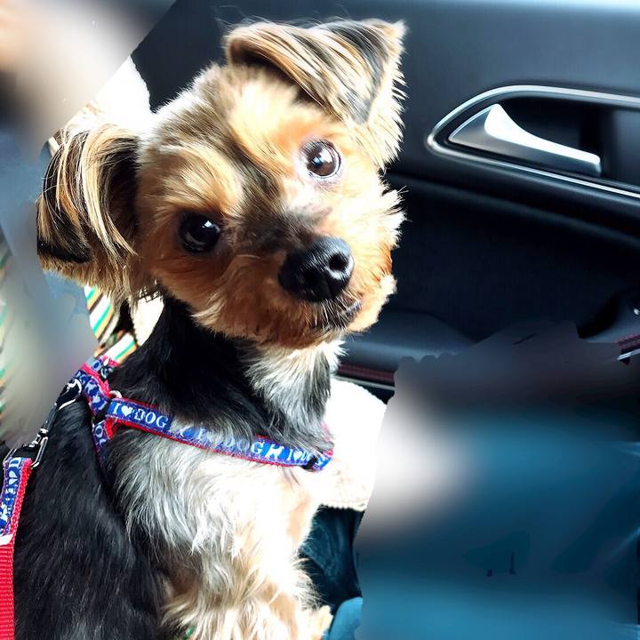 B11c6fa7 dc4b 4f0c 9055 04585250eed4