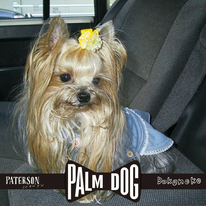 B11c95f1 50d1 4bba b311 8a0c9114d7b8