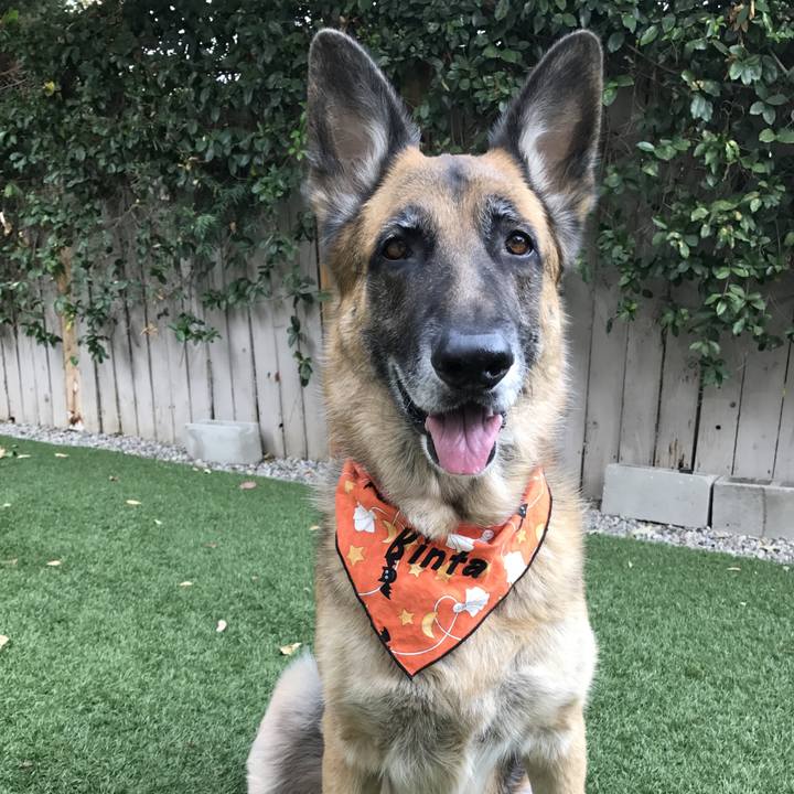 B11cbc34 2854 4435 9c33 ba5de8e4d8f2