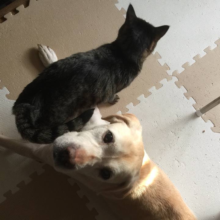 B11ccf98 6e67 4999 915c be59aed761ba