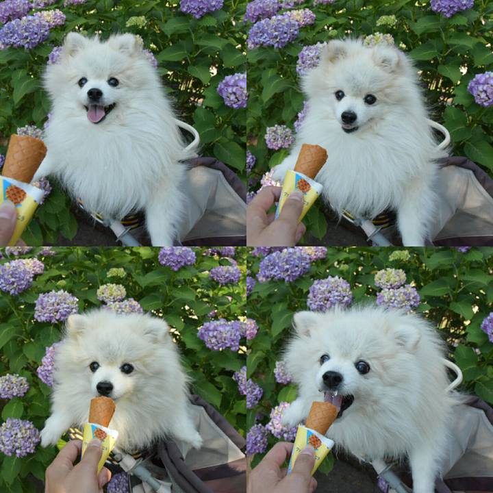 B11cde23 6ce9 4535 a6f1 691a5172e2de