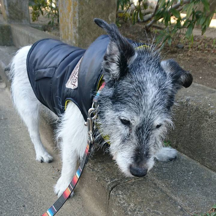 B11d3673 e4be 4fc7 9584 b478f10b5a17