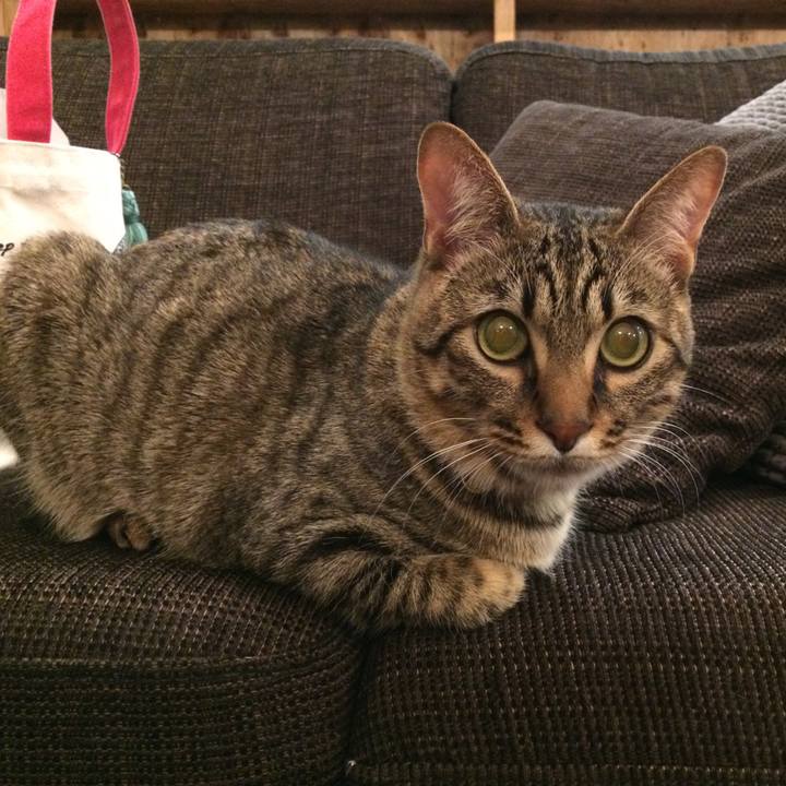 B11e1cb2 b759 4f3c 8fc7 f87d25bc84ba