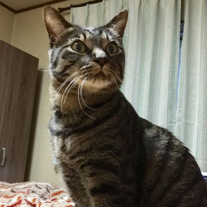 B11ec04f 06ae 484e 90f0 3477867ddec5