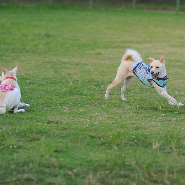 B11fd919 6f96 4870 b8c1 1122c1f085a5