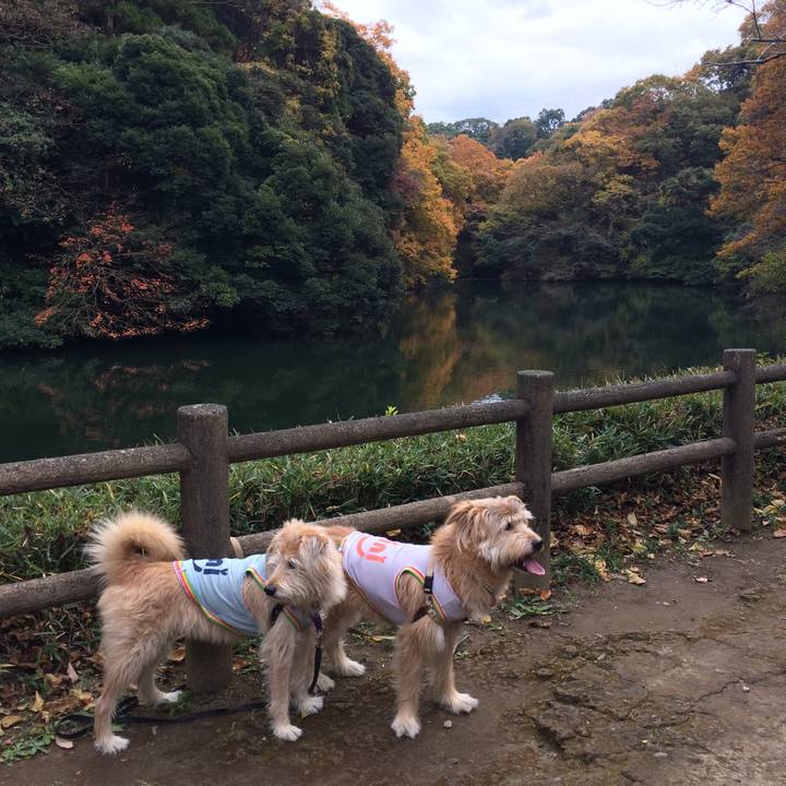 B1200fda 26b6 4341 aefd 85276ad32449