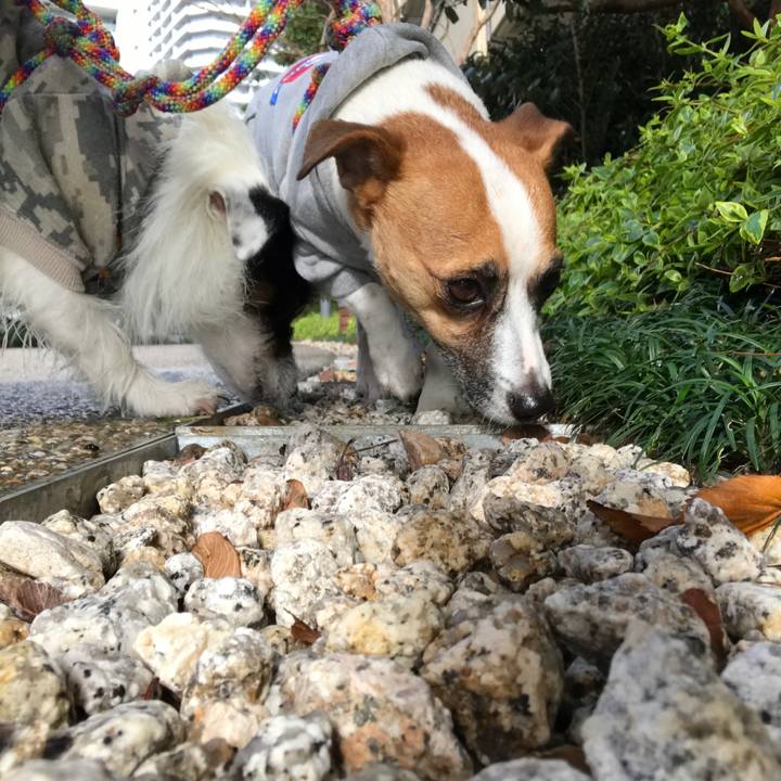 B120a91e b27a 4fde ba81 eb9f3639a8fb