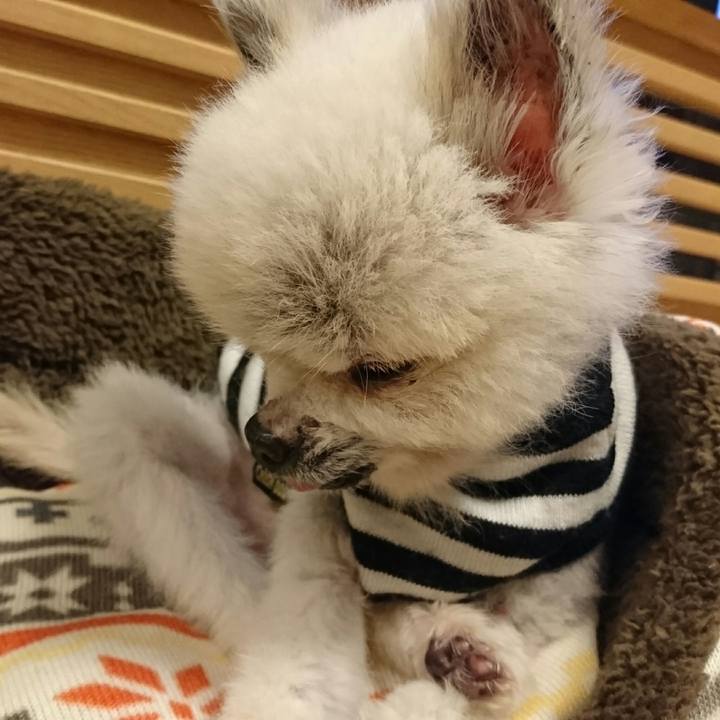 B120b77f 5ef7 4770 931e 85f44b114658