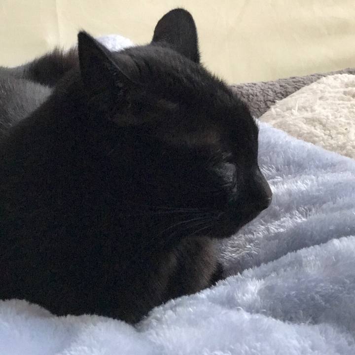 B120f37c 4edc 4740 8db2 e5b2c1c25a0a