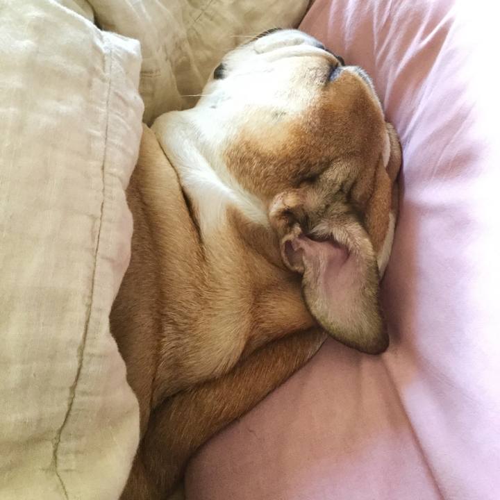 B1212962 942d 4a65 912d 78bb000fb613