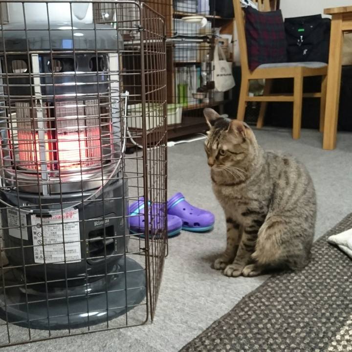 B1218b1c 9288 4dd7 9b9c 359e2ba10a1e