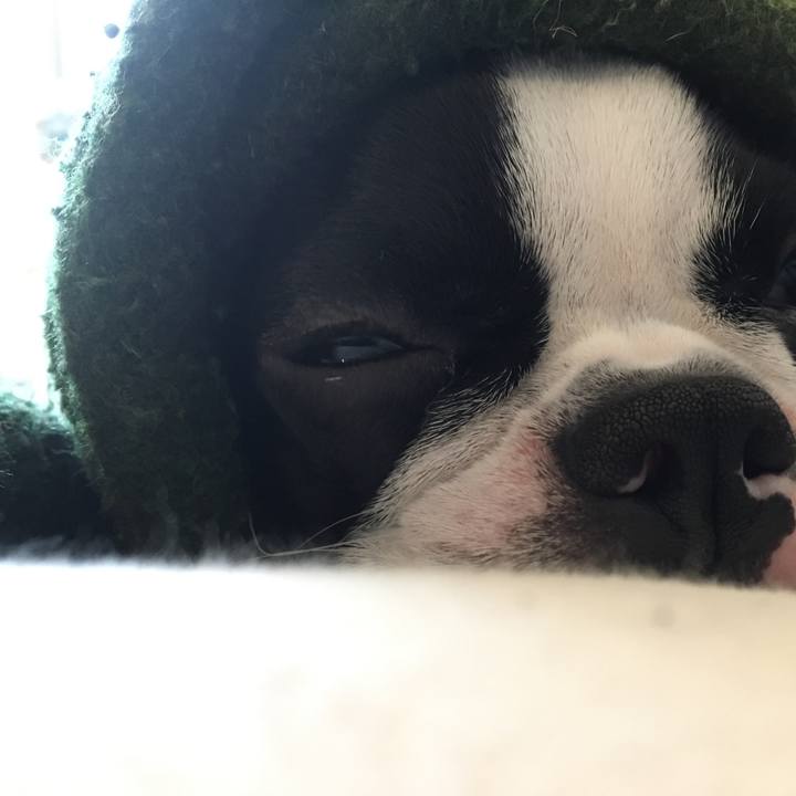 B1223855 8c4d 4894 a8f4 57d4ea8badd7