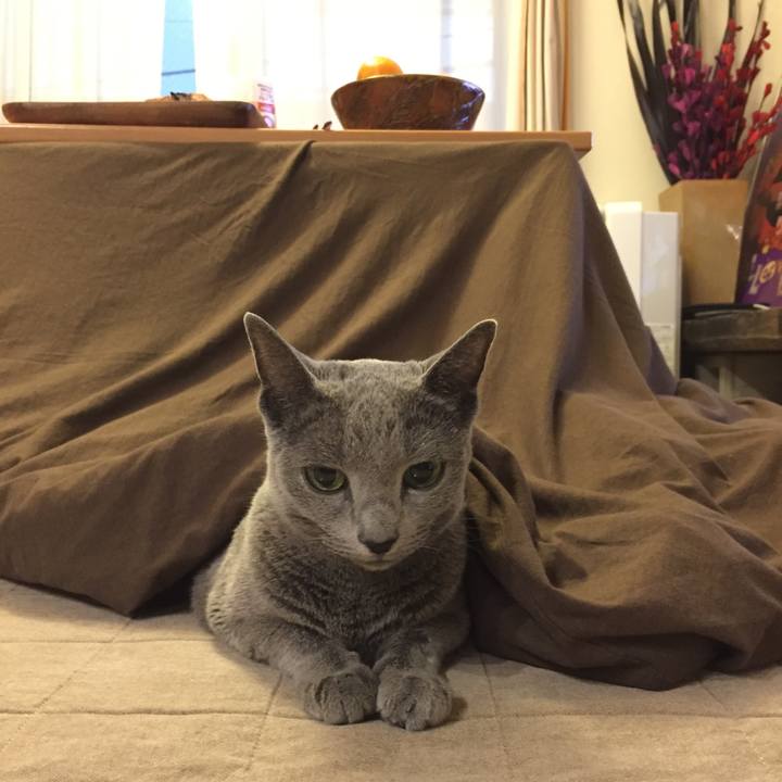 B1231438 e700 4f5d 9c76 94163cf47c27