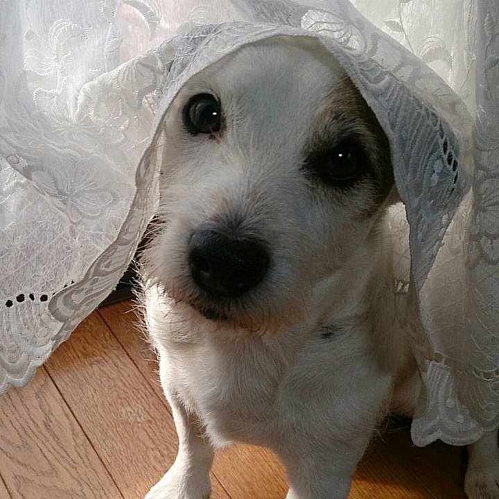 B12324d2 41ea 47c0 b9a6 5791db1dd25c