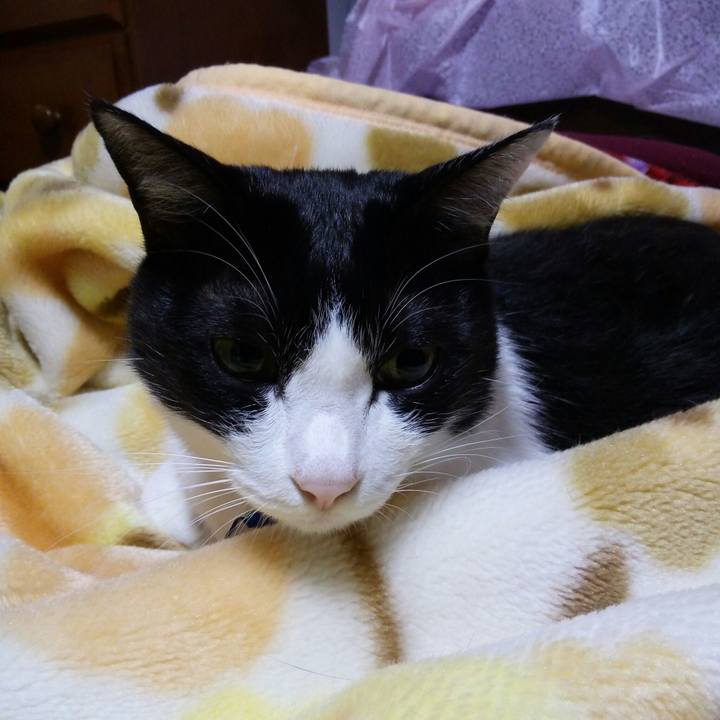 B123393f 43e0 4adb 83c4 6e3fcdbe0a38