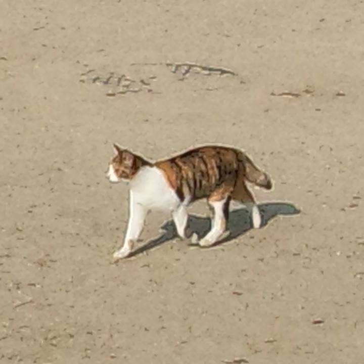 B12351f8 a452 4220 9fc0 feefcb0c81e1