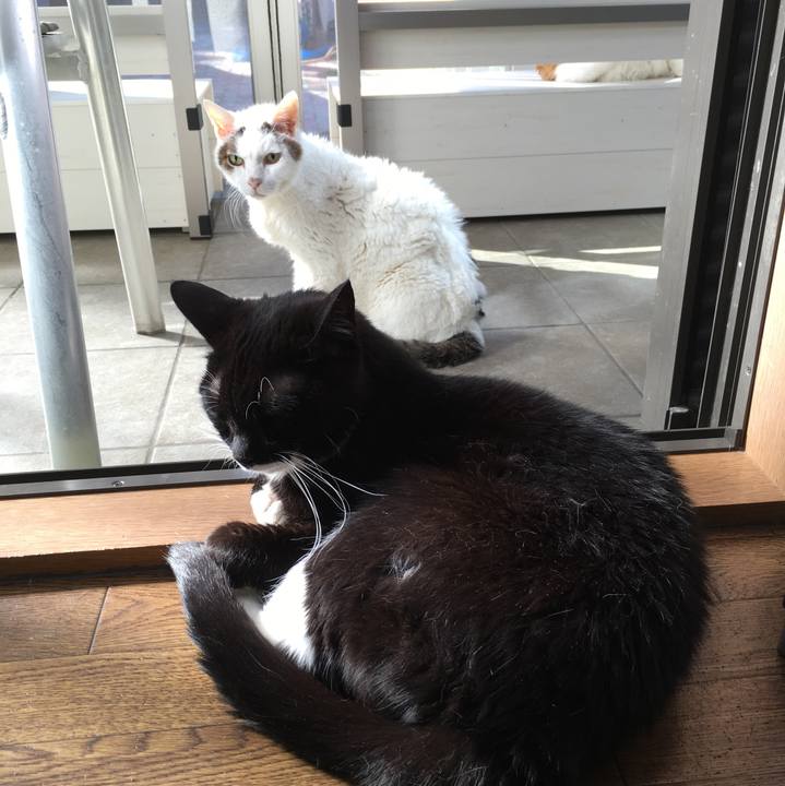 B123d8ce 06a0 41f4 8cc4 b57bd3500ac4